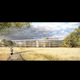 Image for article titled The New High Resolution Renders of Apple's Next Campus Are Gorgeous